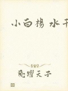 小白杨 水千丞