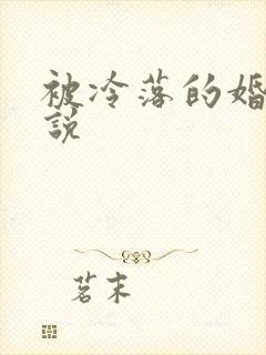 被冷落的婚姻小说
