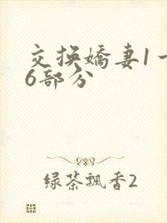交换娇妻1一36部分