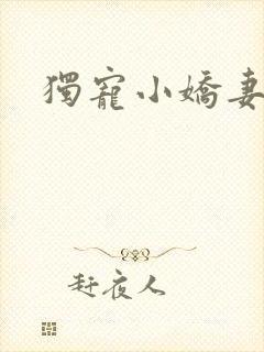 独宠小娇妻