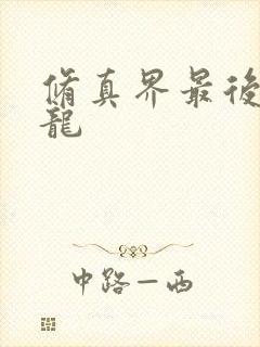 修真界最后一条龙