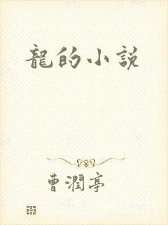 龙的小说