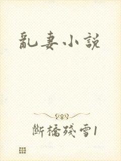 乱妻小说