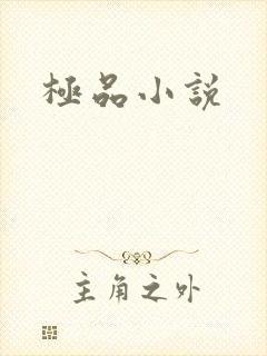 极品小说