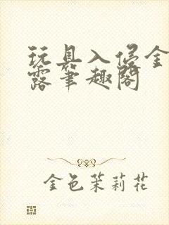 玩具入侵金银花露笔趣阁