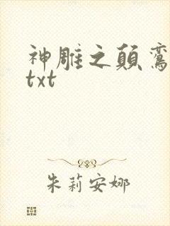 神雕之颠鸾倒凤txt