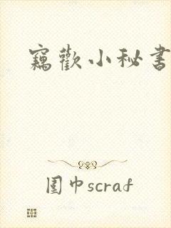 窃欢小秘书