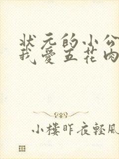 状元的小公主(我爱五花肉)