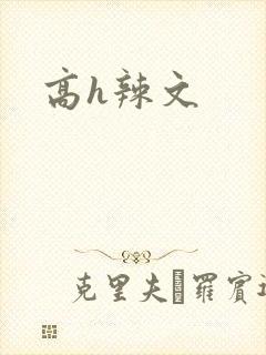 高h辣文