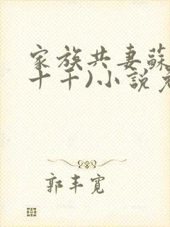 家族共妻苏苏(十千)小说免费