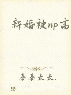 新婚被np高h