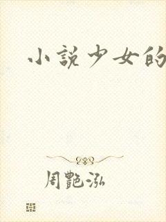 小说少女的心