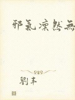 邪气凛然无弹窗