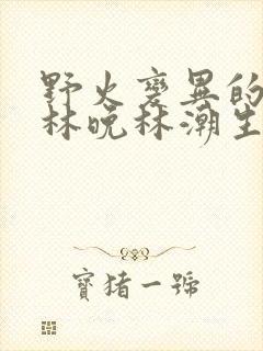 野火变异的父爱林晚林潮生