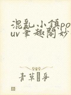混乱小镇popuv笔趣阁妙妙