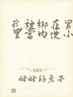 我被绑在男公厕里当肉便小说