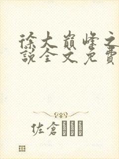 徐大巅峰之路小说全文免费阅读