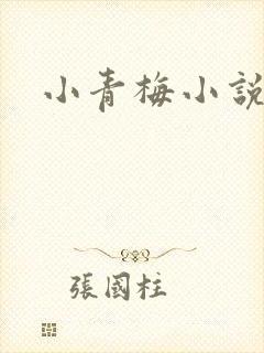 小青梅小说