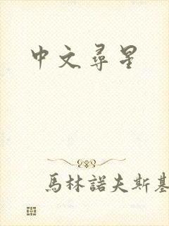 中文寻星