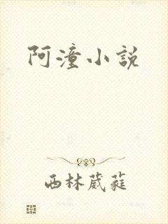 阿潼小说