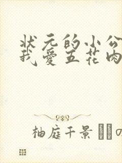 状元的小公主(我爱五花肉)