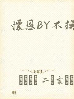 怀恩BY不换
