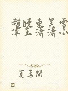 赵晓东吴雪晴郑伟王潇潇小说