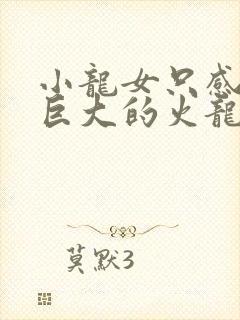 小龙女只感觉那巨大的火龙枪