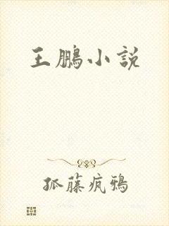 王鹏小说
