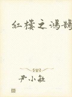 红楼之鸿鹄