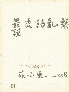 最爽的乱系列小说