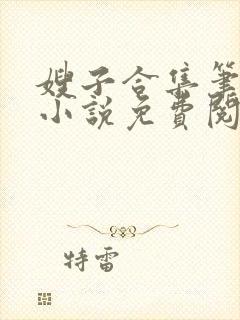 嫂子合集笔趣阁小说免费阅读