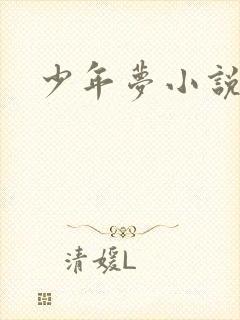 少年梦小说