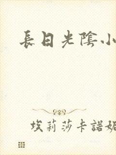长日光阴小说