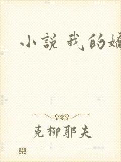 小说 我的娇妻