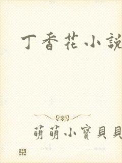 丁香花小说