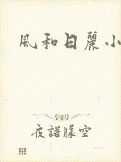 风和日丽小说
