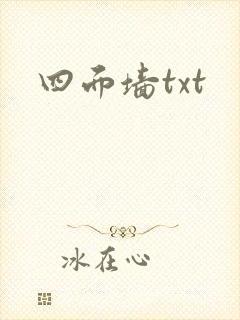 四面墙txt