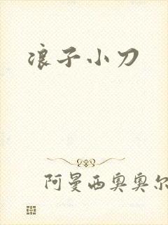 浪子小刀
