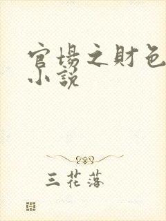 官场之财色诱人小说