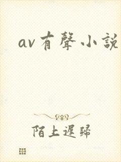 av有声小说