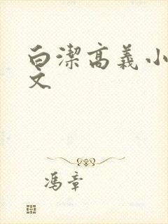 白洁高义小说全文