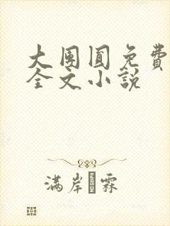 大团圆免费阅读全文小说