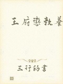 王府惩教养日常