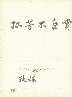 孤芳不自赏小说