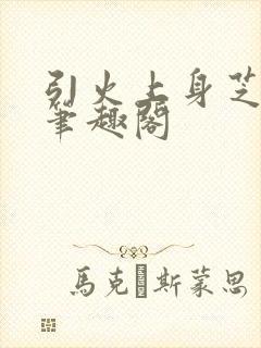 引火上身芝麻糖笔趣阁