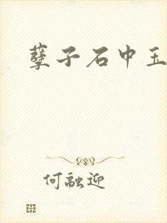 孽子石中玉