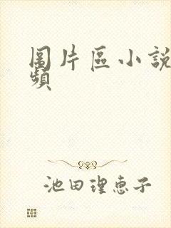 图片区小说区视频