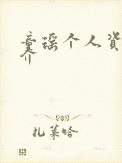 童瑶个人资料简介