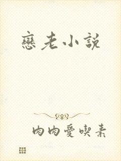 恋老小说
